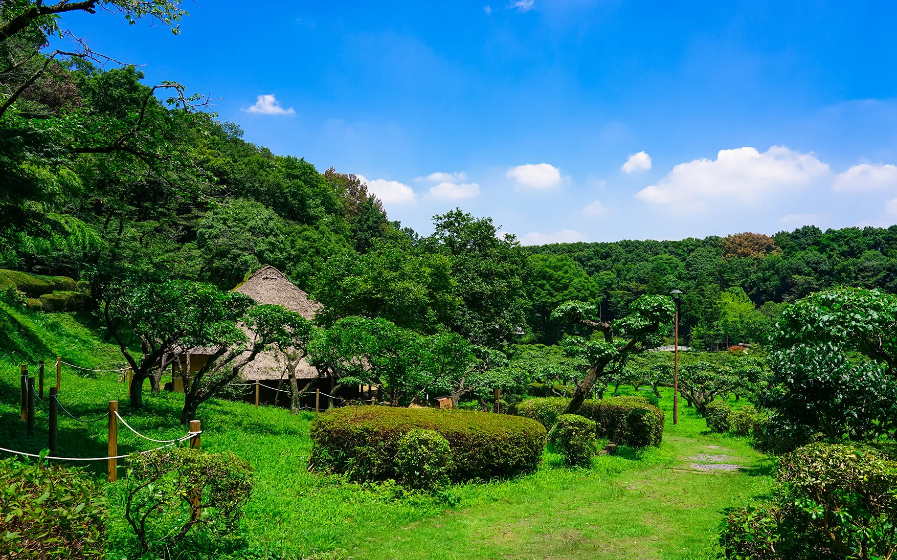 株式会社横浜川和｜食品包装資材の卸売り